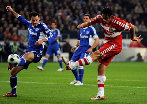 不拔的精神 不拔的精神